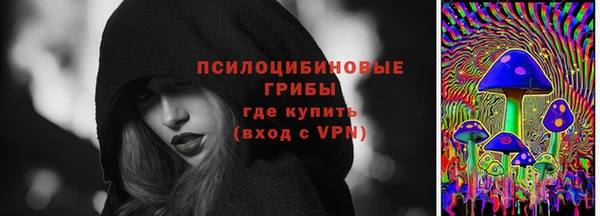мяу мяу мука Арсеньев