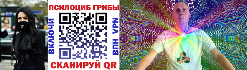 Галлюциногенные грибы Psilocybine cubensis  Краснослободск 